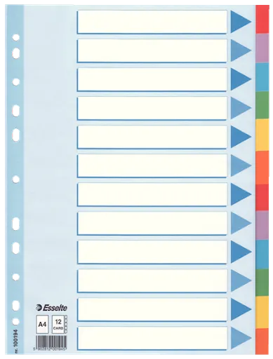 Esselte Divider Card A4 12 Tabs