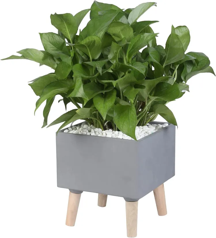 Gray Concrete House Plant Stand with Wood Legs, Square 8 Inch Freestanding Planter Flower Pot Display Rack