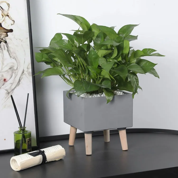 Gray Concrete House Plant Stand with Wood Legs, Square 8 Inch Freestanding Planter Flower Pot Display Rack