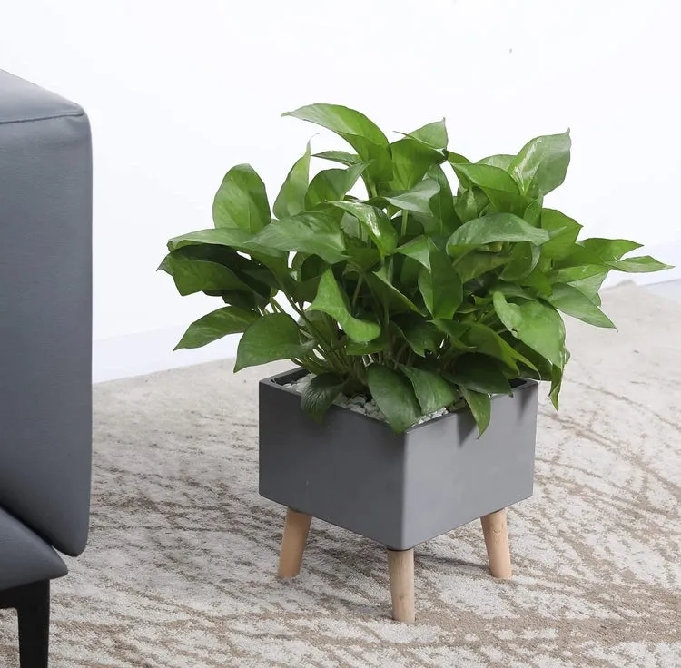 Gray Concrete House Plant Stand with Wood Legs, Square 8 Inch Freestanding Planter Flower Pot Display Rack