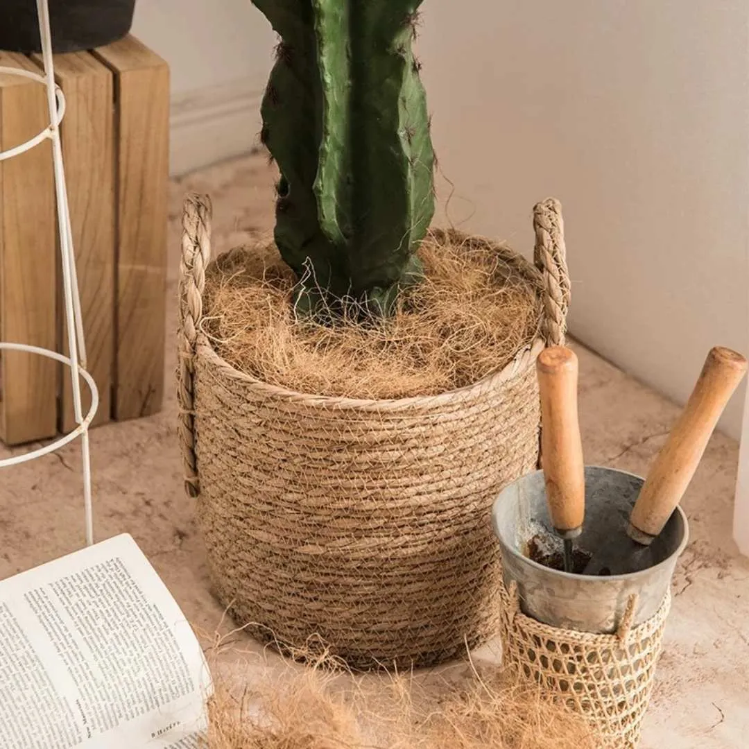 Norea  Hand Made Seagrass Woven Plant Basket