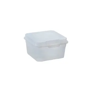 Regent Plastic Kempy Storage Utility Container Box Clear 2.1L 84004