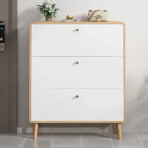 Sanctum Shoe Organizer Cabinet
