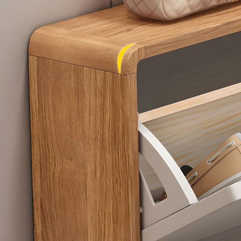 Sanctum Shoe Organizer Cabinet