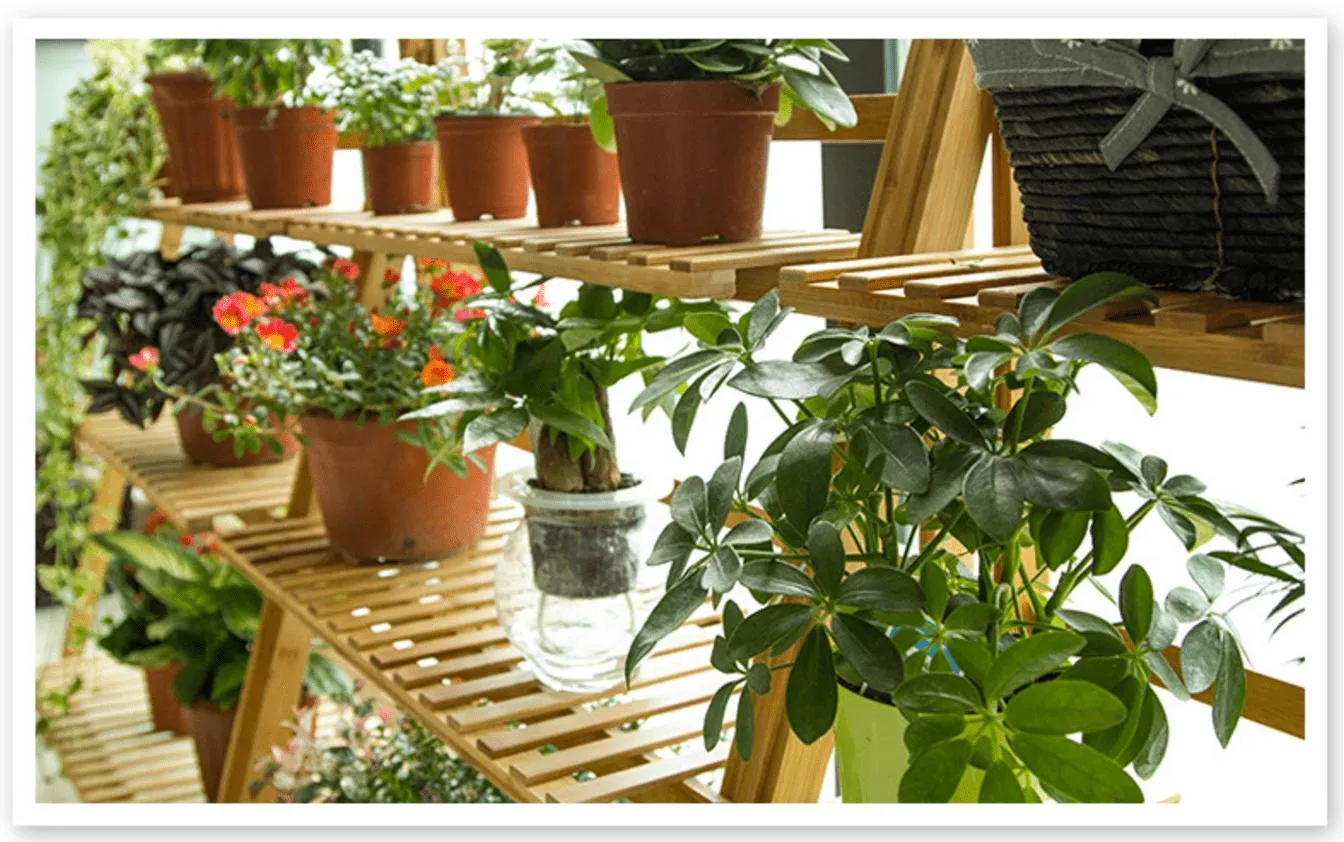 Shoppy Gorial Garden Shelf Rack