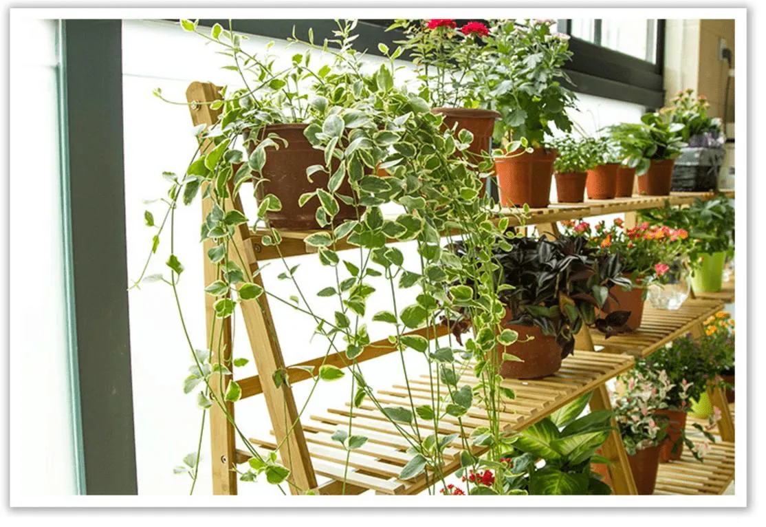Shoppy Gorial Garden Shelf Rack