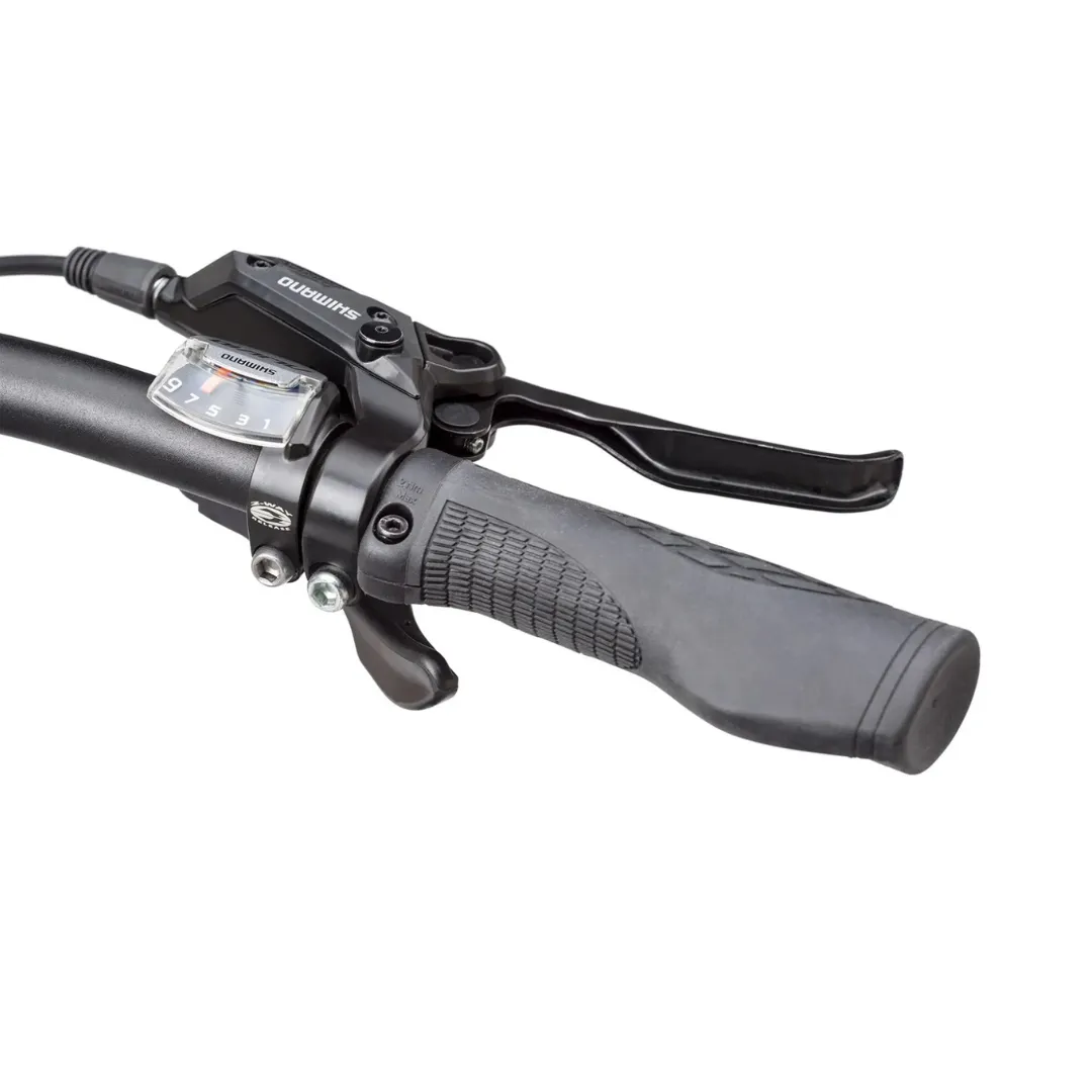 Tern Vektron Q9