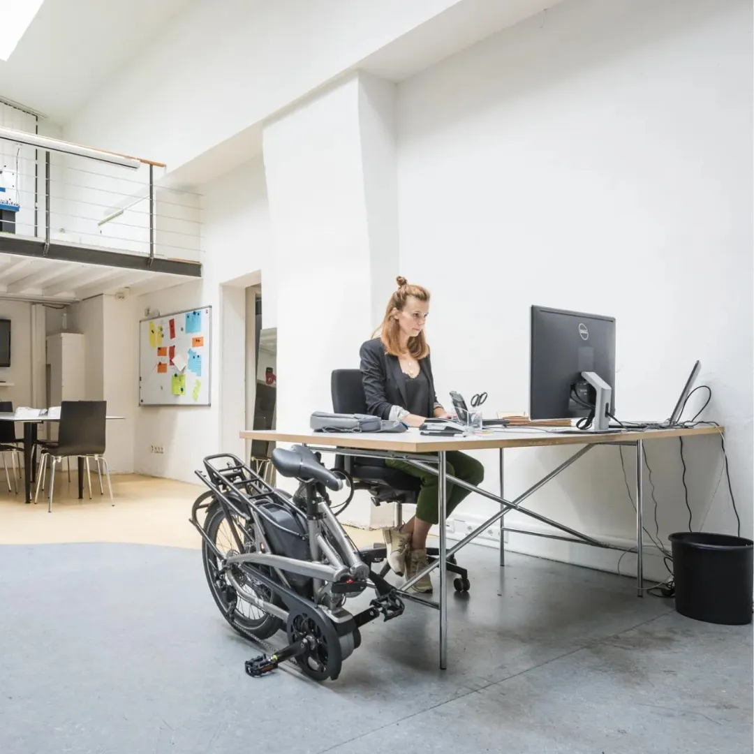 Tern Vektron Q9