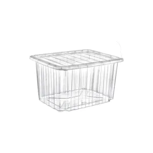 Titiz Plastic Universal Storage Box Transparent 23L E-662