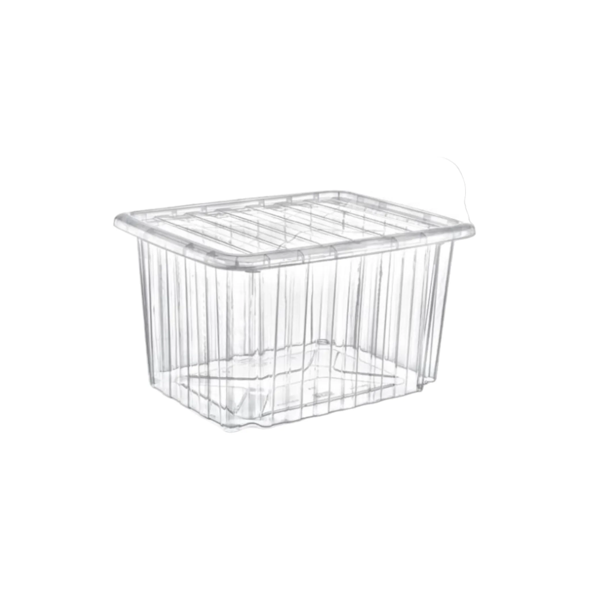 Titiz Plastic Universal Storage Box Transparent 23L E-662
